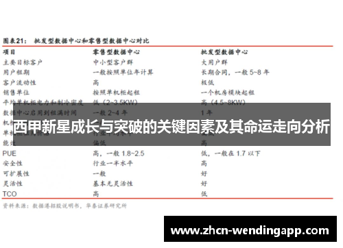 西甲新星成长与突破的关键因素及其命运走向分析