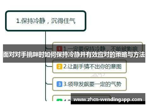 面对对手挑衅时如何保持冷静并有效应对的策略与方法